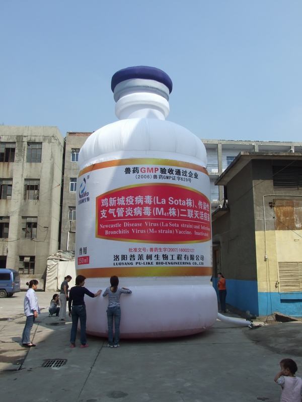 博鳌镇广告宣传气模
